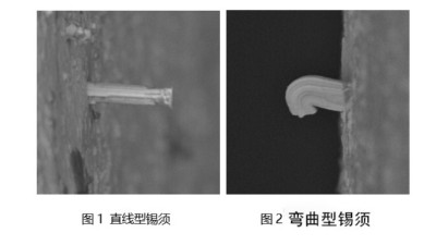 淺談一下焊錫膏焊接后出現錫須是什么原因？